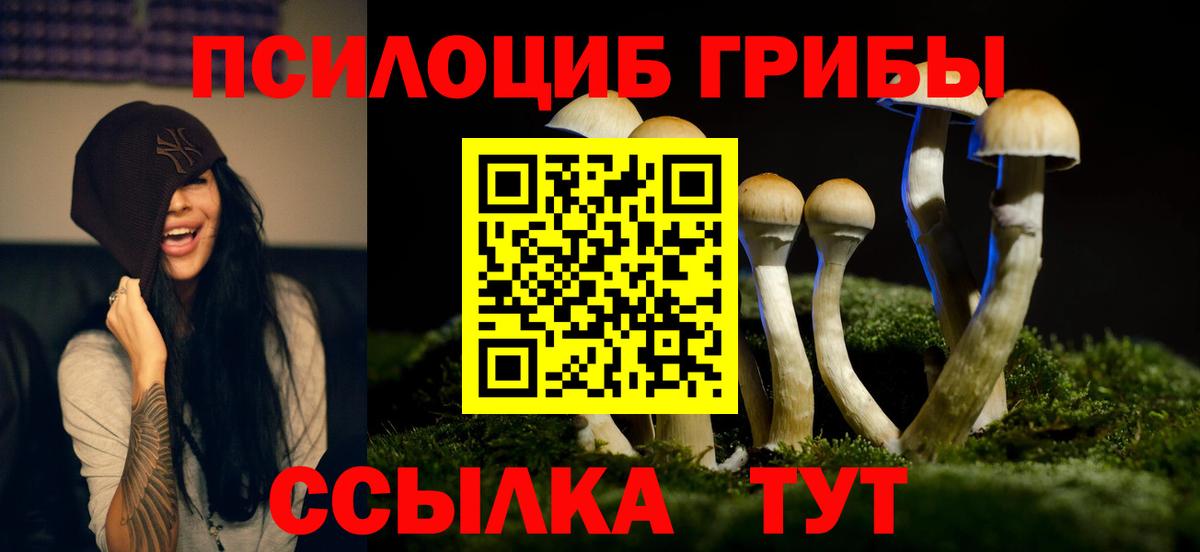 Галлюциногенные грибы Psilocybine cubensis  Псилоцибиновые грибы мухоморы  Красный Сулин  Вход с VPN 
